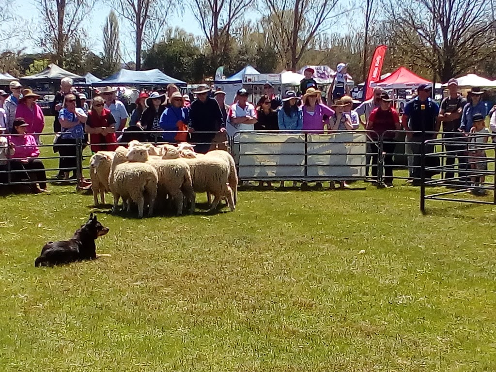 Murrumbateman Field Days | Recreation Grounds, 19 East St, Murrumbateman NSW 2582, Australia | Phone: (02) 6227 5895