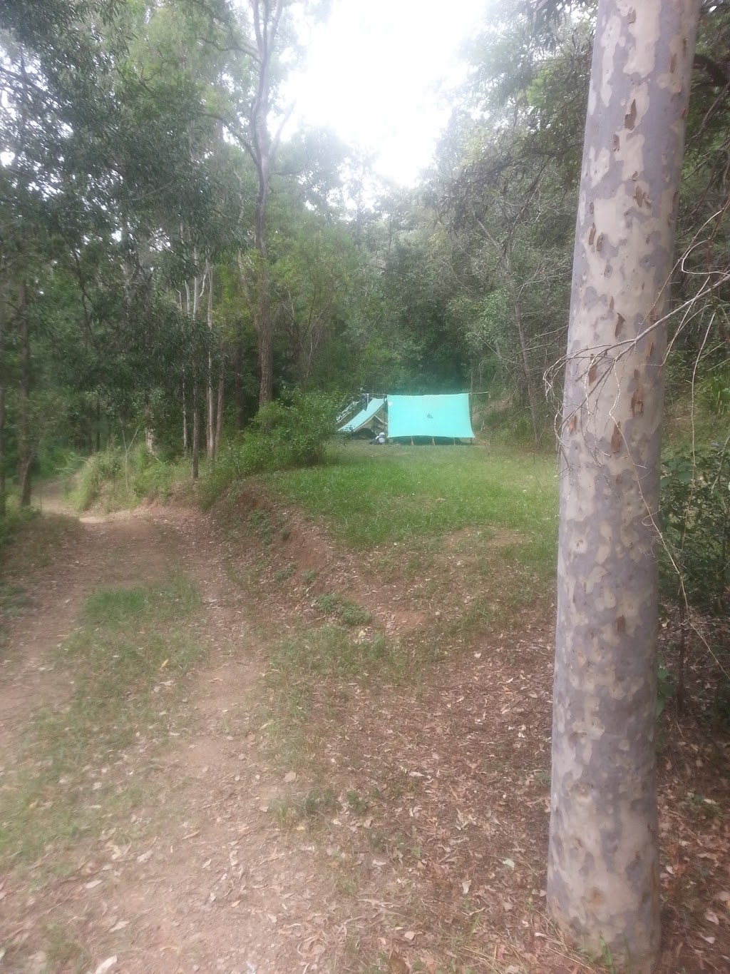 Tyamolum Scout Campsite | campground | 31 Bunya St, Mount Crosby QLD 4306, Australia | 0404301603 OR +61 404 301 603