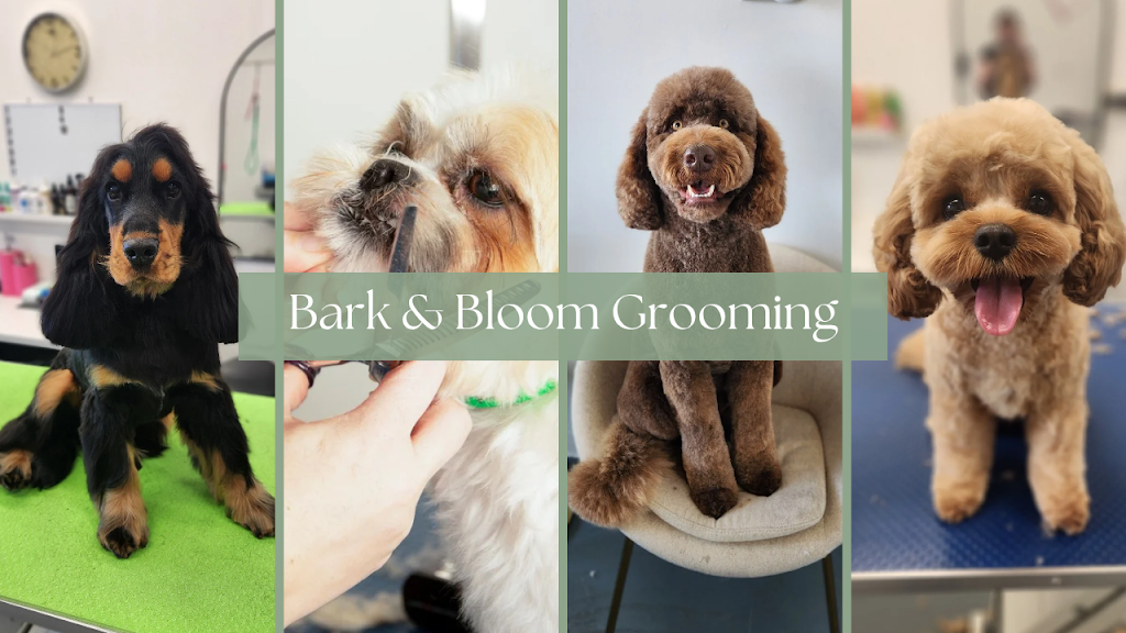 Bark & Bloom Grooming | 2 Keith Mitchell Dr, Warwick QLD 4370, Australia | Phone: 0427 786 774