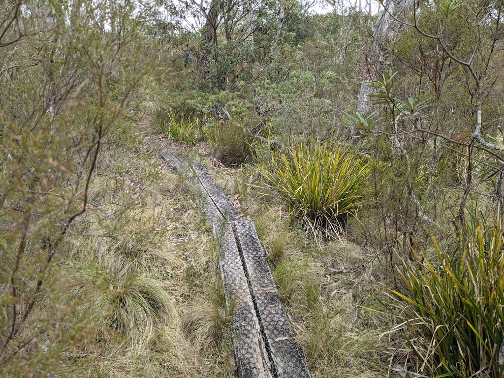 Lyrebird Walking track | park | Brinerville NSW 2454, Australia