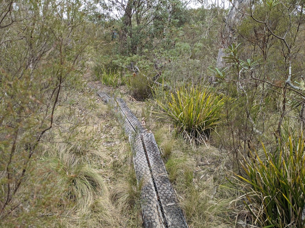 Lyrebird Walking track | Brinerville NSW 2454, Australia