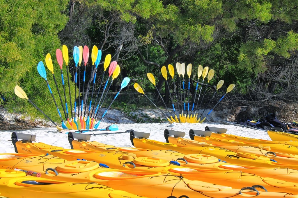 Salty Dog Sea Kayaking | Whitsunday Drive, Shute Harbour QLD 4802, Australia | Phone: (07) 4946 1388