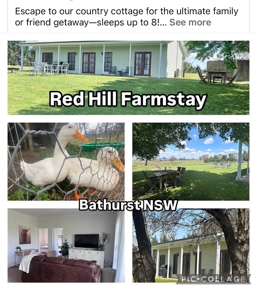 Red Hill Farmstay | 1554 Mid Western Hwy, Evans Plains NSW 2795, Australia | Phone: 0412 621 554