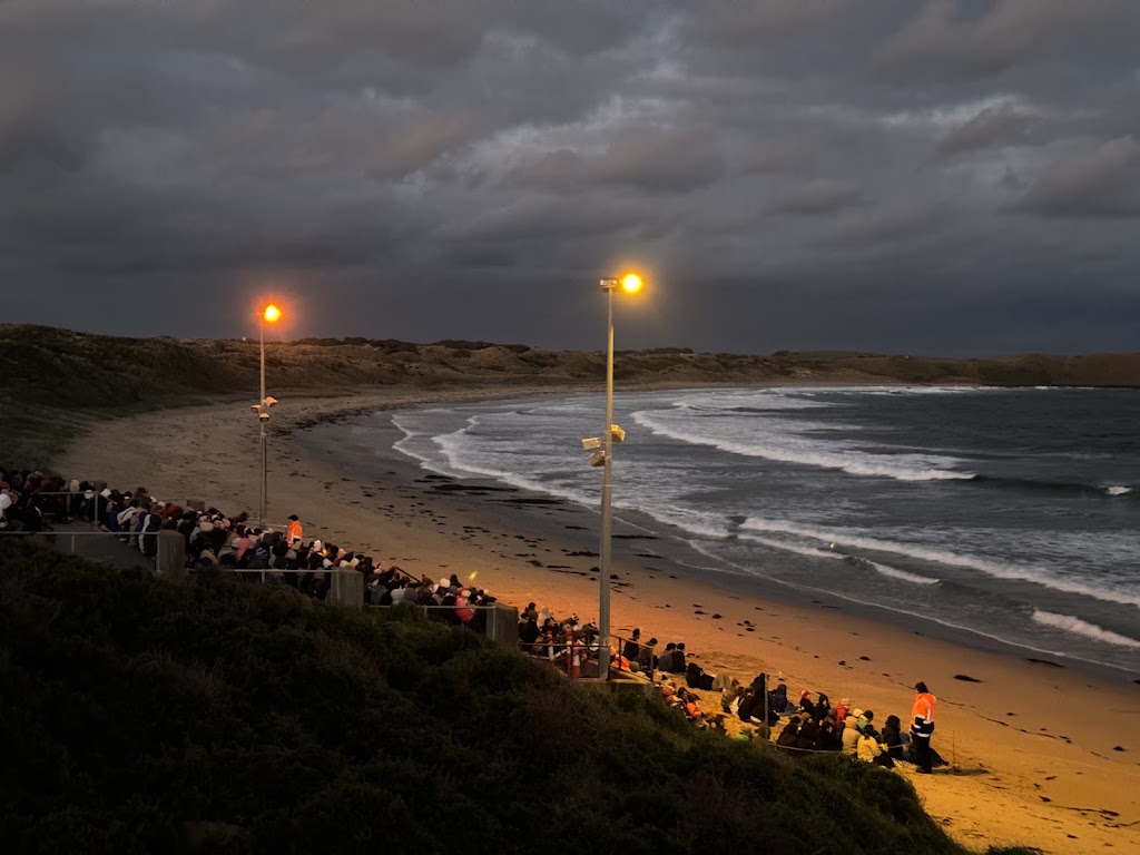 Penguin Premium | 1019 Ventnor Rd, Summerlands VIC 3922, Australia | Phone: (03) 5951 2800