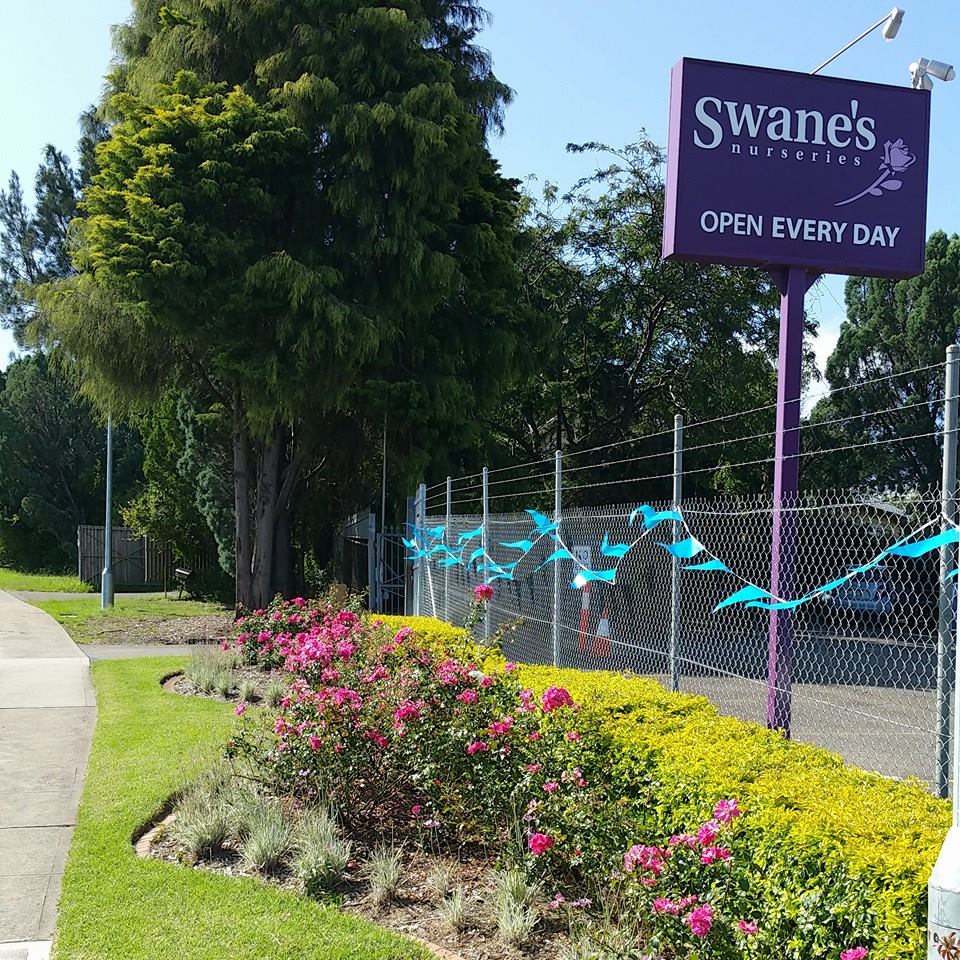 Swanes Nursery Carlingford | 237 Marsden Rd, Carlingford NSW 2118, Australia | Phone: (02) 9871 1699