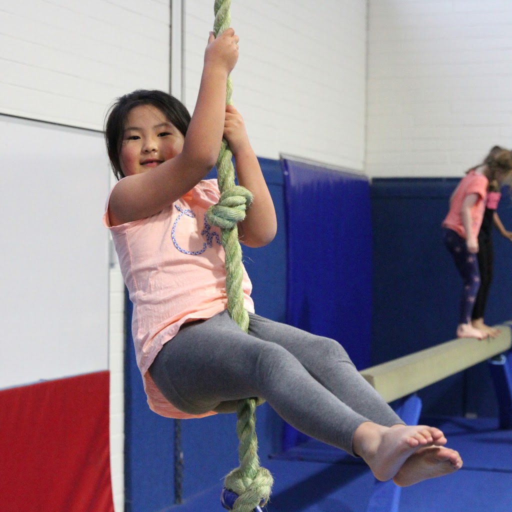 Waverley Gymnastics Centre (Glen Waverley Campus) | 620 High St Rd, Glen Waverley VIC 3150, Australia | Phone: (03) 9887 9611