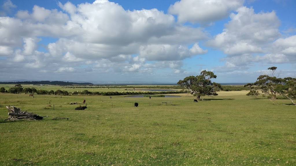 Prom View Farm | 4295 Meeniyan-Promontory Rd, Yanakie VIC 3960, Australia | Phone: (03) 5687 1232