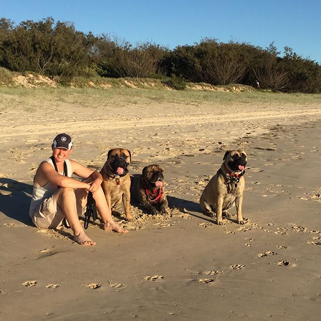 Awesome Pawsome - Mobile Pet Grooming & Wash | 20 Grant St, Hendra QLD 4011, Australia | Phone: 0407 244 515