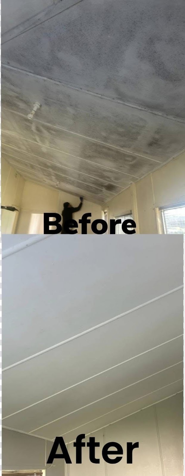 Deni Cleaning | 10 Jacaranda St, Forbes NSW 2871, Australia | Phone: 0498 484 419