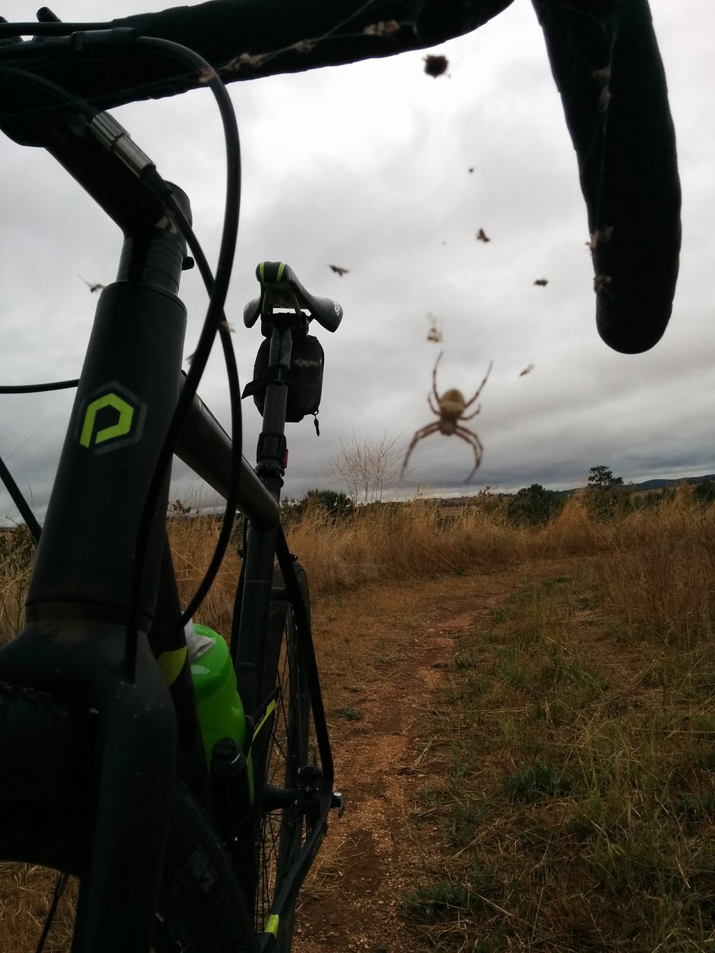 Bathurst Mountain Bike Park | 172/212 College Rd, Mount Panorama NSW 2795, Australia