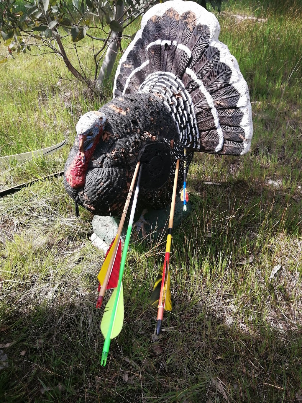 The Trophy Bowhunting Club of SA | 145 Seaview Rd, Upper Hermitage SA 5131, Australia | Phone: (08) 8289 3522