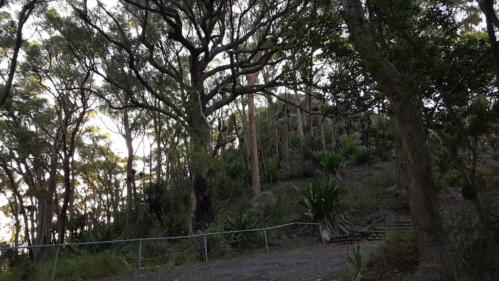 Mt. Sugarloaf Lookout | park | West Wallsend NSW 2286, Australia
