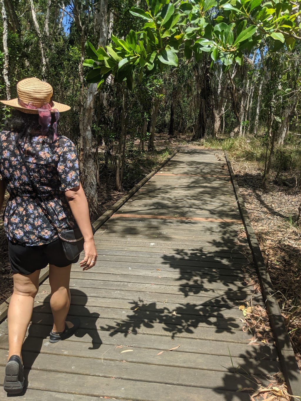 Kommo Toera Trail | Mackay Harbour QLD 4740, Australia