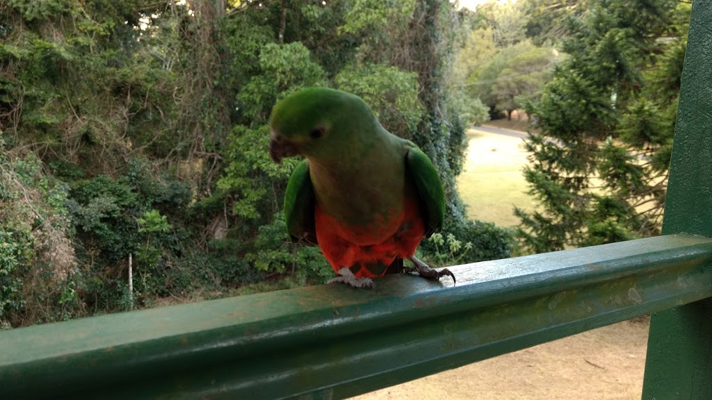 The Wren Cottage | lodging | Wren Cottage, 15 Rainforest Road, Bunya Mountains QLD 4405, Australia