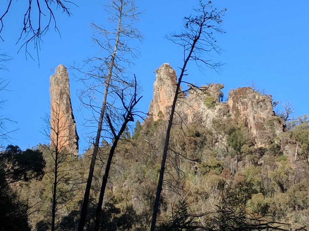 Balor Hut campground | campground | Dagda Shortcut, Tonderburine NSW 2828, Australia | 0268254364 OR +61 2 6825 4364