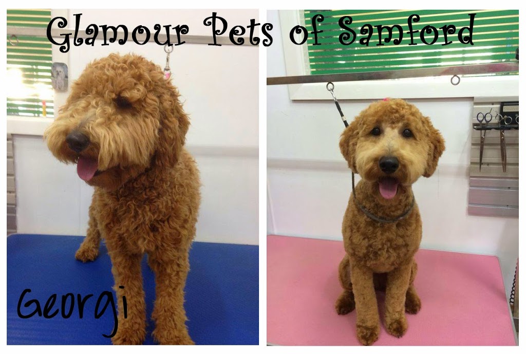 Glamour Pets of Samford | 44 Davison Rd, Camp Mountain QLD 4520, Australia | Phone: 0447 593 317