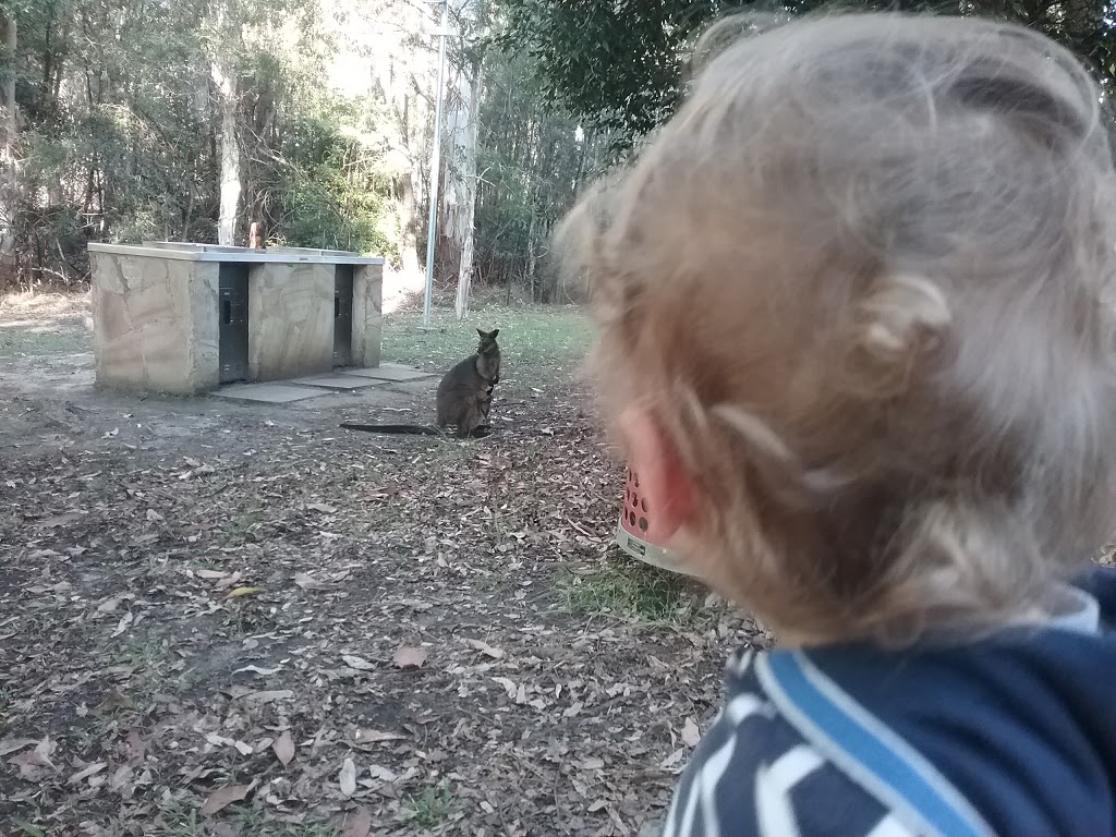 Lamberts Clearing | park | St. Ives NSW 2075, Australia