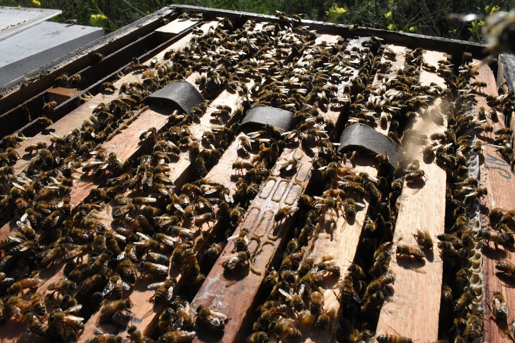 Aluen CAP Australia | 18B Industrial Ave, Mudgee NSW 2850, Australia | Phone: 1800 921 520