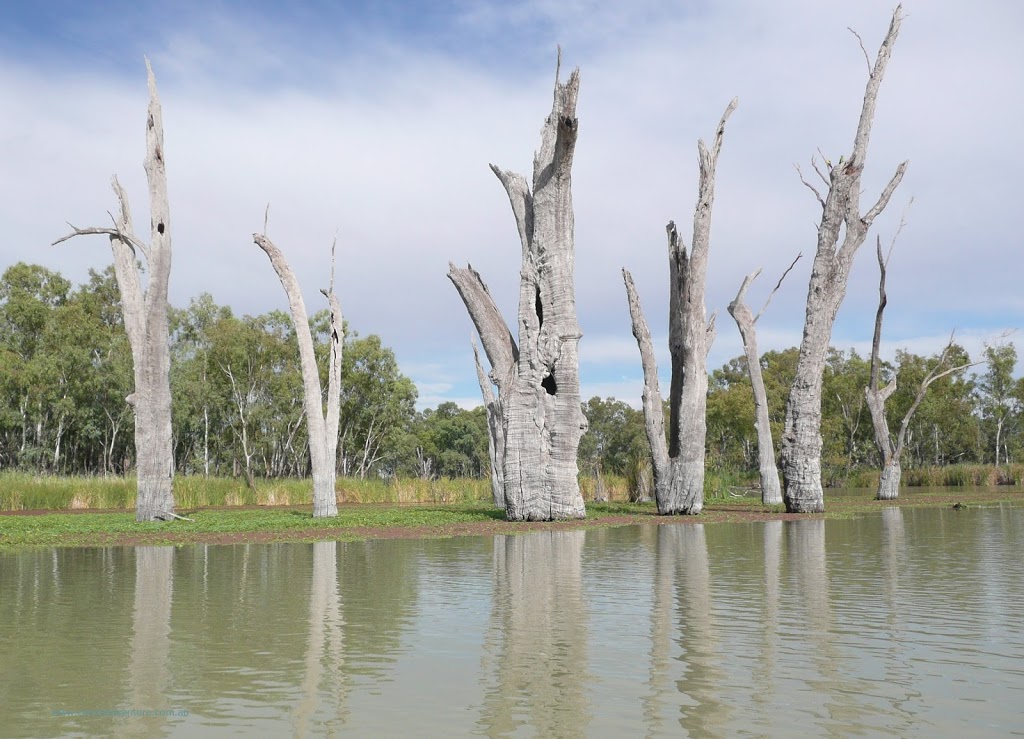 Loch Luna | park | Overland Corner SA 5330, Australia