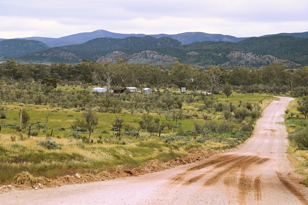 Probys Grave | cemetery | Yarrah SA 5433, Australia