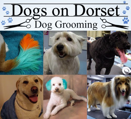 Dogs On Dorset | 432 Dorset Rd, Croydon VIC 3136, Australia | Phone: 0458 643 674