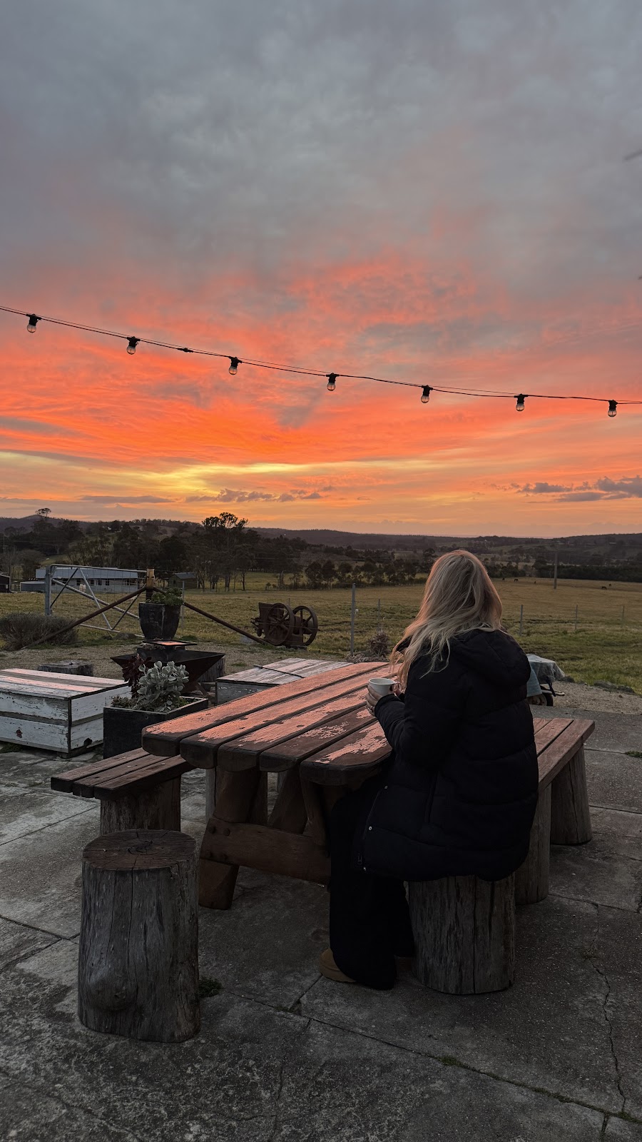 Mattana Farm | 143 Little Frst Rd, Little Forest NSW 2538, Australia | Phone: 0423 055 604