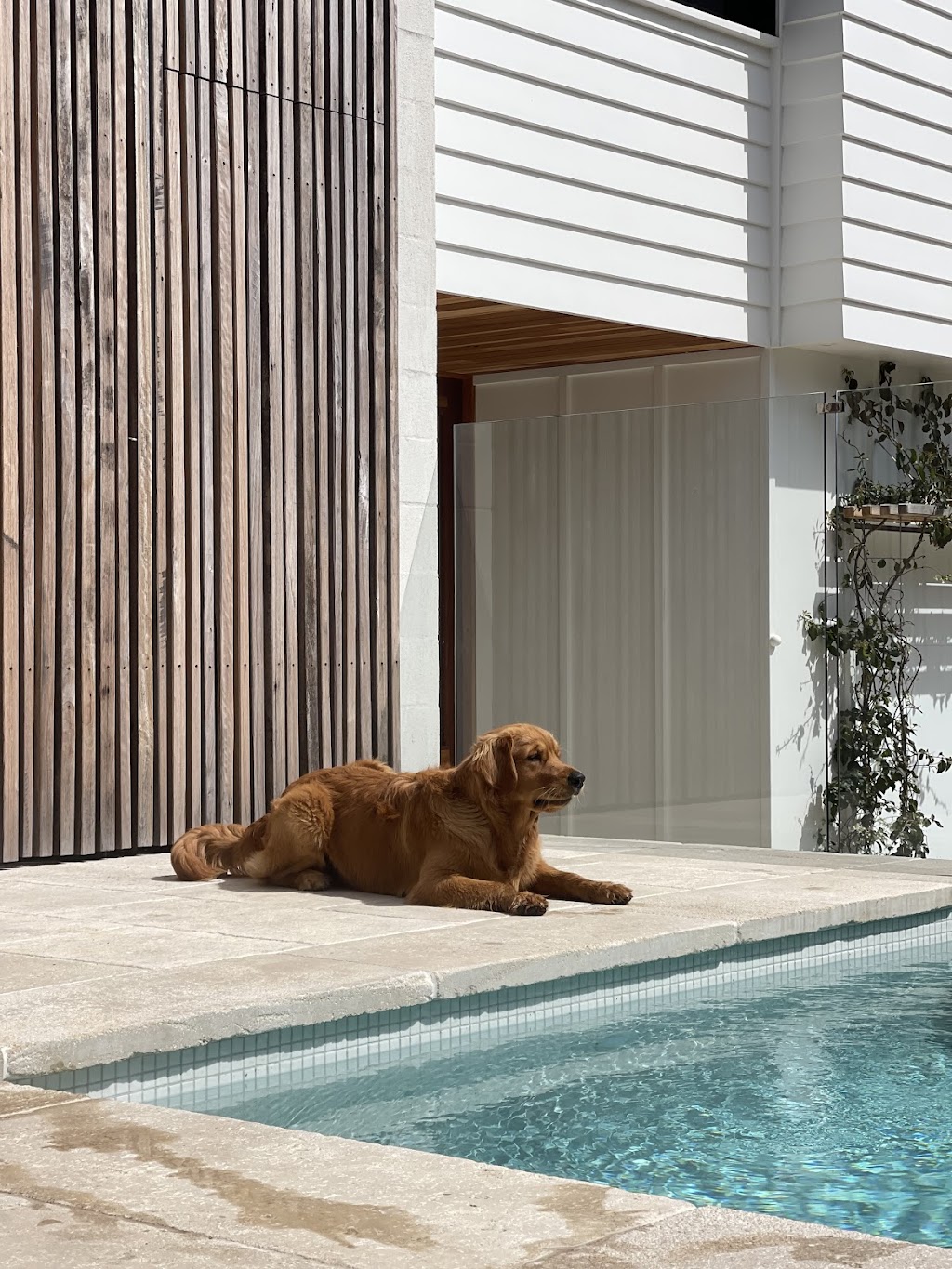 Pacific Palms Pool Maintenance | 14 Karnang Dr, Boomerang Beach NSW 2428, Australia | Phone: 0419 274 279