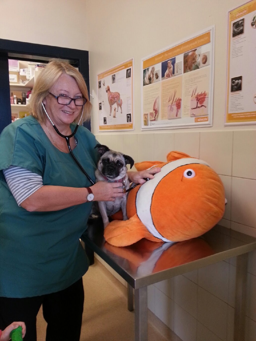 Burwood Road Veterinary Clinic | 48 Burwood Rd, Concord NSW 2137, Australia | Phone: (02) 9745 2600