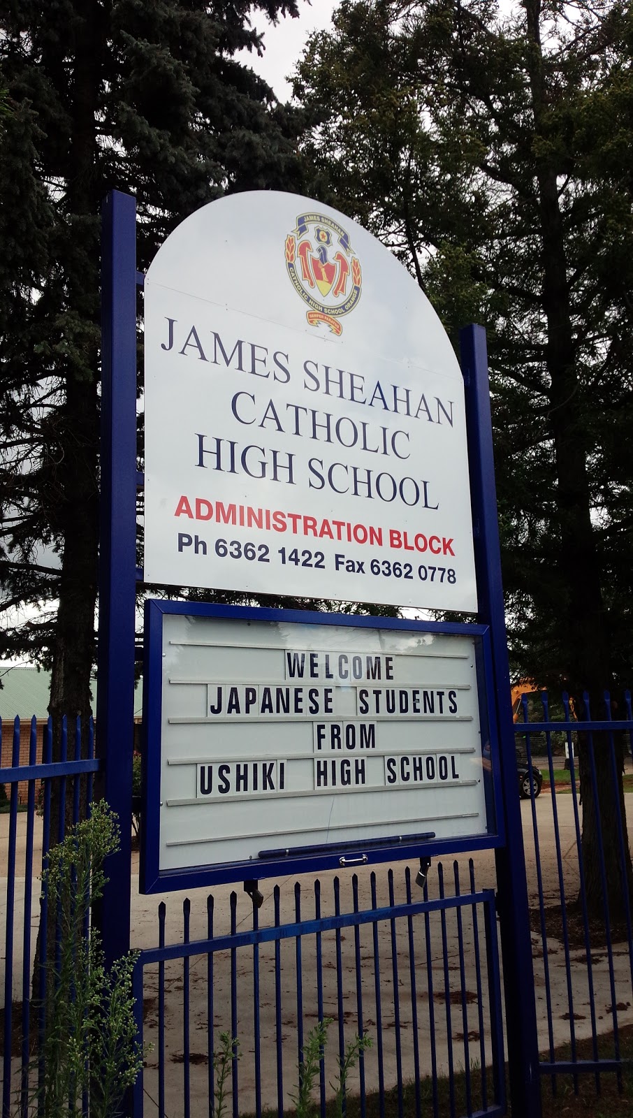 James Sheahan Catholic High School | school | 49 Anson St, Orange NSW 2800, Australia | 0263621422 OR +61 2 6362 1422