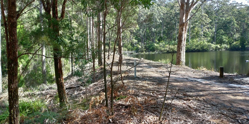 Lake Muir State Forest | Western Australia, Australia