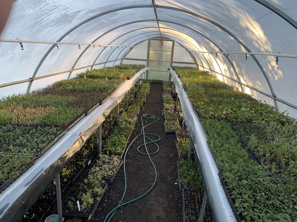 Propteq | 313 Pound Rd, Elliminyt VIC 3250, Australia | Phone: 0493 436 586 Propteq | 313 Pound Rd, Elliminyt VIC 3250, Australia | Phone: 0493 436 586