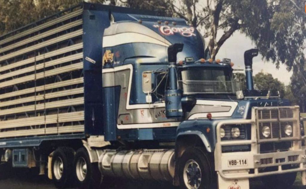 Trans Australian Freight Management Adelaide | 31 Kapara Rd, Gillman SA 5013, Australia | Phone: 0457 462 025