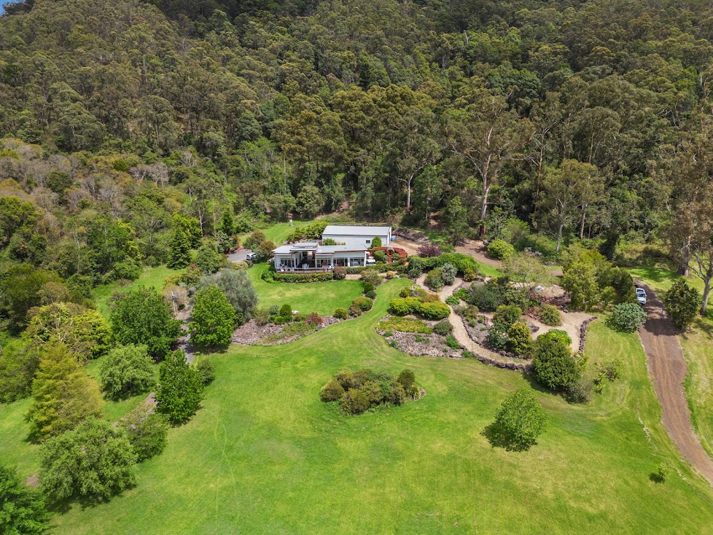 Lamington Eco -Rainforest Retreat | 3275 Christmas Creek Rd, Lamington QLD 4285, Australia | Phone: 0418 878 874