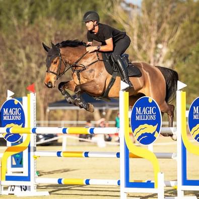 Riverton Performance Horses | 40 Bobs Range Rd, Orangeville NSW 2570, Australia | Phone: 0408 333 659