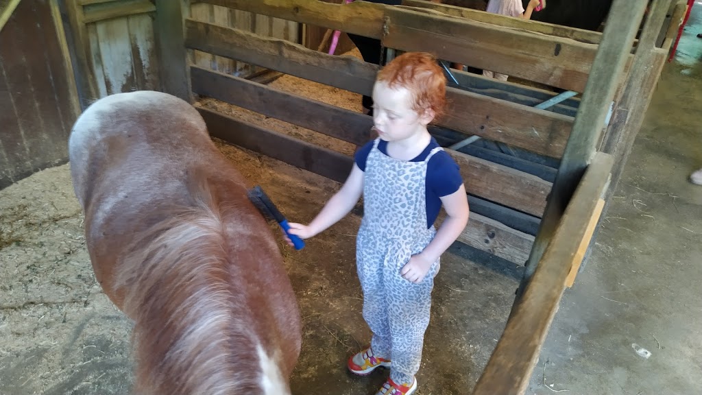 Mini Mates Miniature Horse and Pony Farm |  | 1222 Mount Cotton Rd, Burbank QLD 4156, Australia | 0733491910 OR +61 7 3349 1910