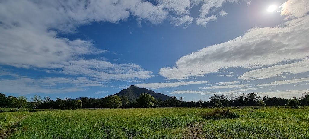 Moorland Eco Farm | 106 Hannam Vale Rd, Moorland NSW 2443, Australia | Phone: 0432 288 156