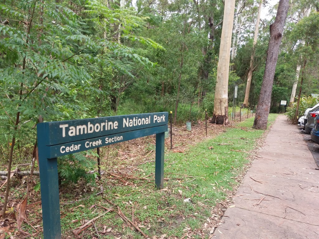 Tamborine National Park | park | Cedar Creek QLD 4207, Australia | 137468 OR +61 137468