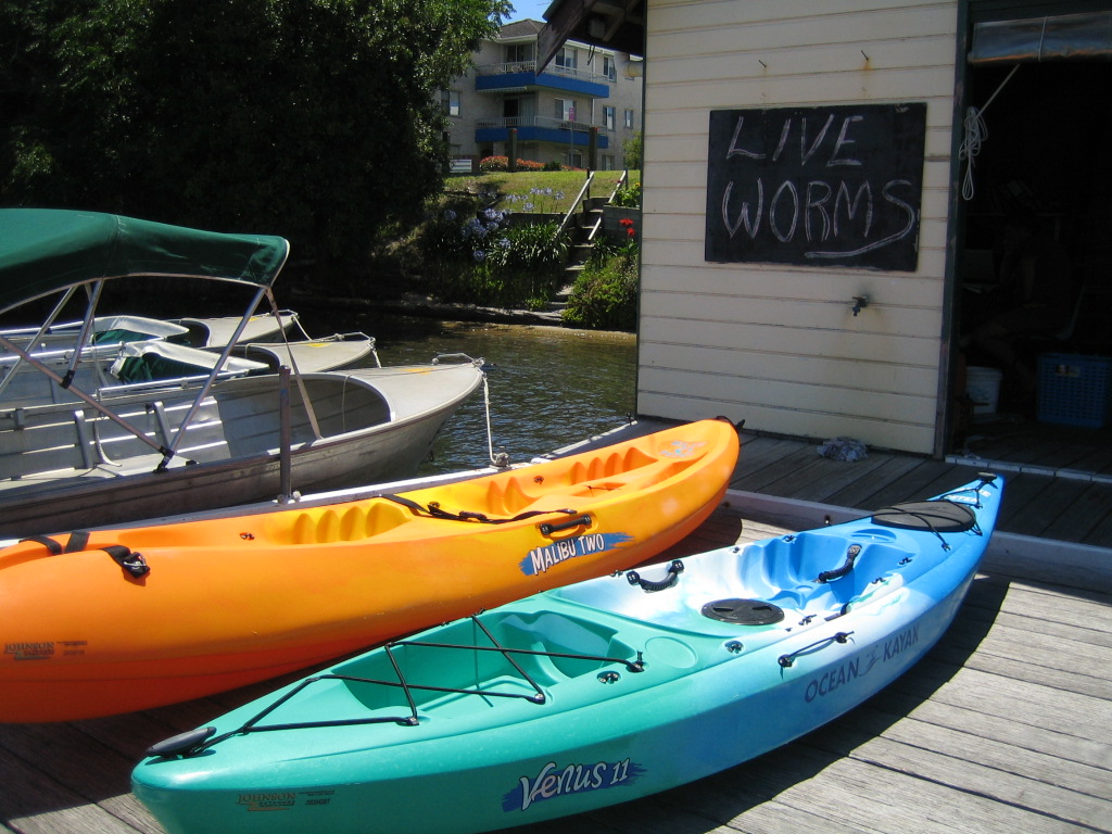 Blue Peter Boat Shed | 95 Little St, Forster NSW 2428, Australia | Phone: (02) 6555 6506