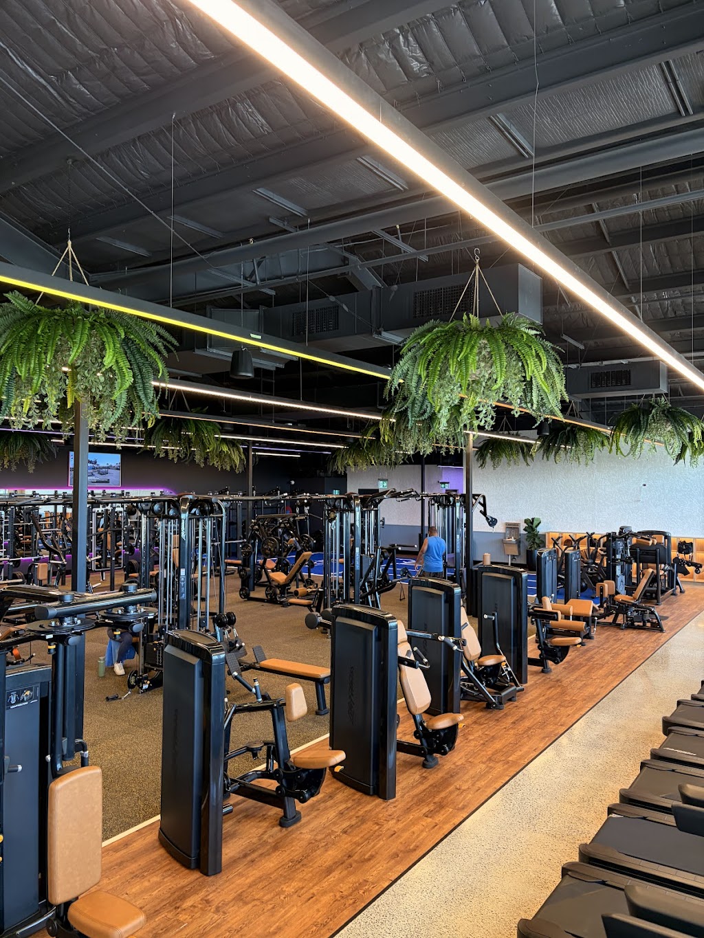 Live Well Health Clubs | 4 Lakefront Cres, Gables NSW 2765, Australia | Phone: 0488 994 455