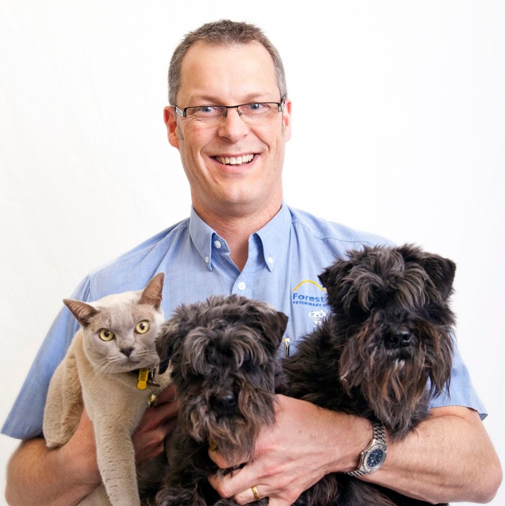 Margary David Dr | veterinary care | 357 Canterbury Rd, Forest Hill VIC 3131, Australia | 0398731544 OR +61 3 9873 1544