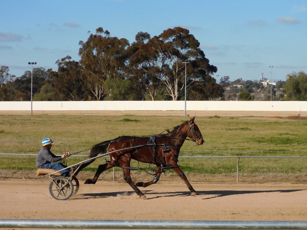 Temora Showground | Mimosa St, Temora NSW 2666, Australia | Phone: (02) 6977 1801