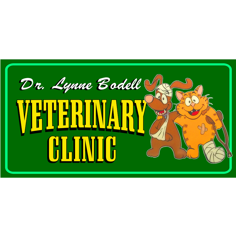 Lynne Bodell Vet Clinic | veterinary care | 56 Chaston St, Wagga Wagga NSW 2650, Australia | 0269255570 OR +61 2 6925 5570