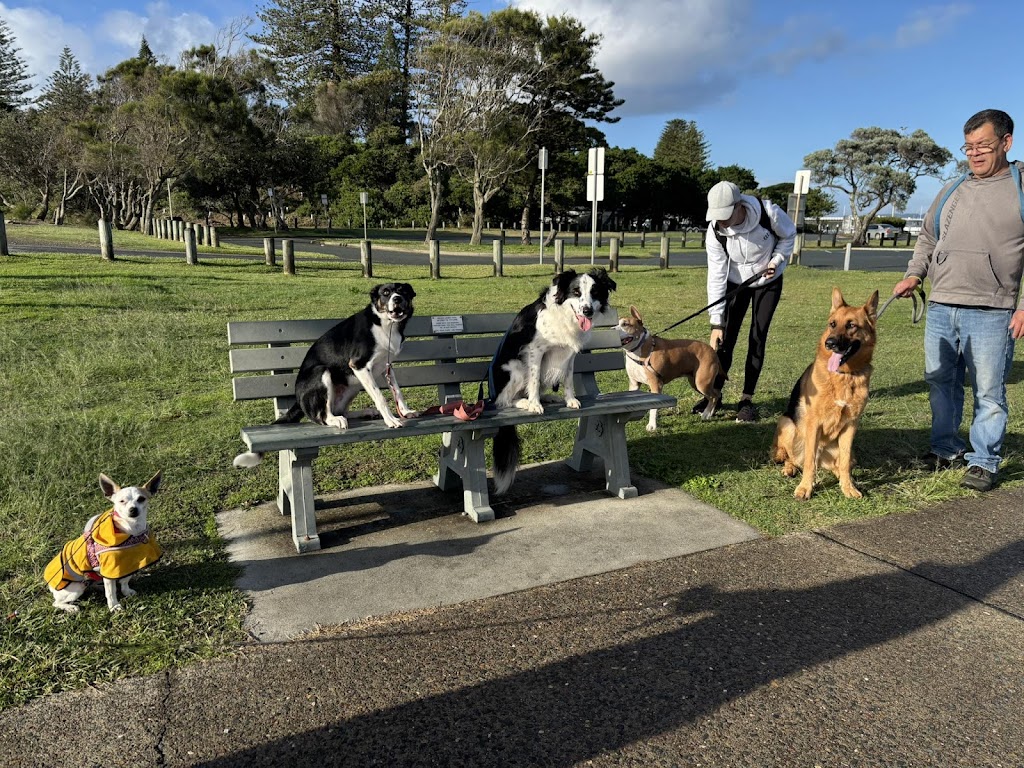 Debs Dog Training | Failford NSW 2430, Australia | Phone: 0494 551 882