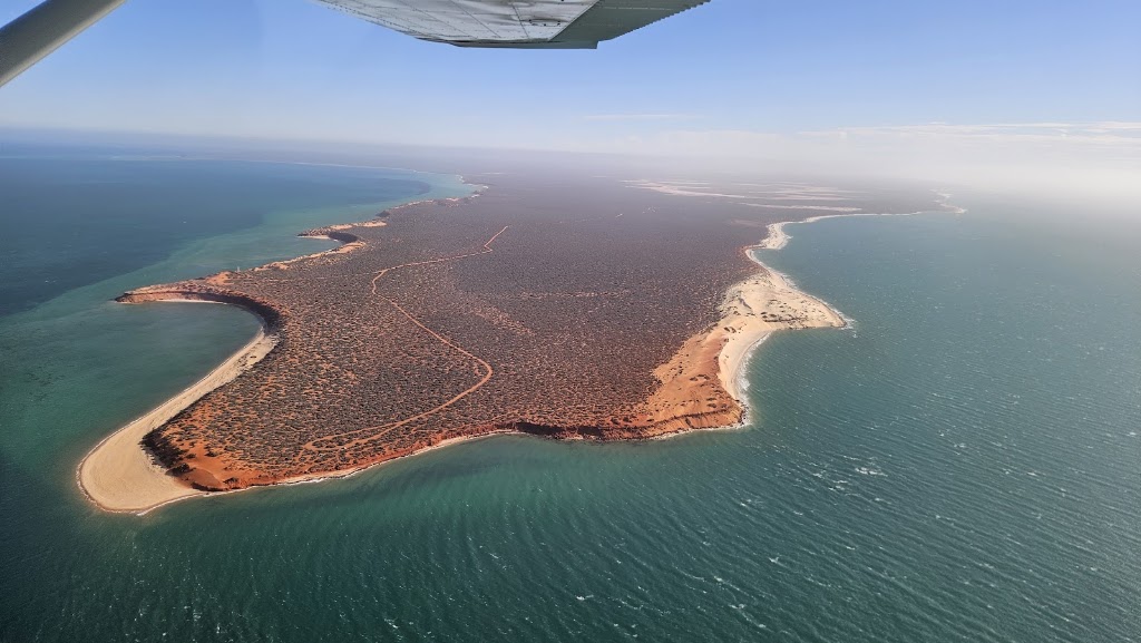 Shark Bay Scenic Flights powered by Nationwest Aviation | Shark Bay Airport Rd, Denham WA 6537, Australia | Phone: (08) 9390 0999