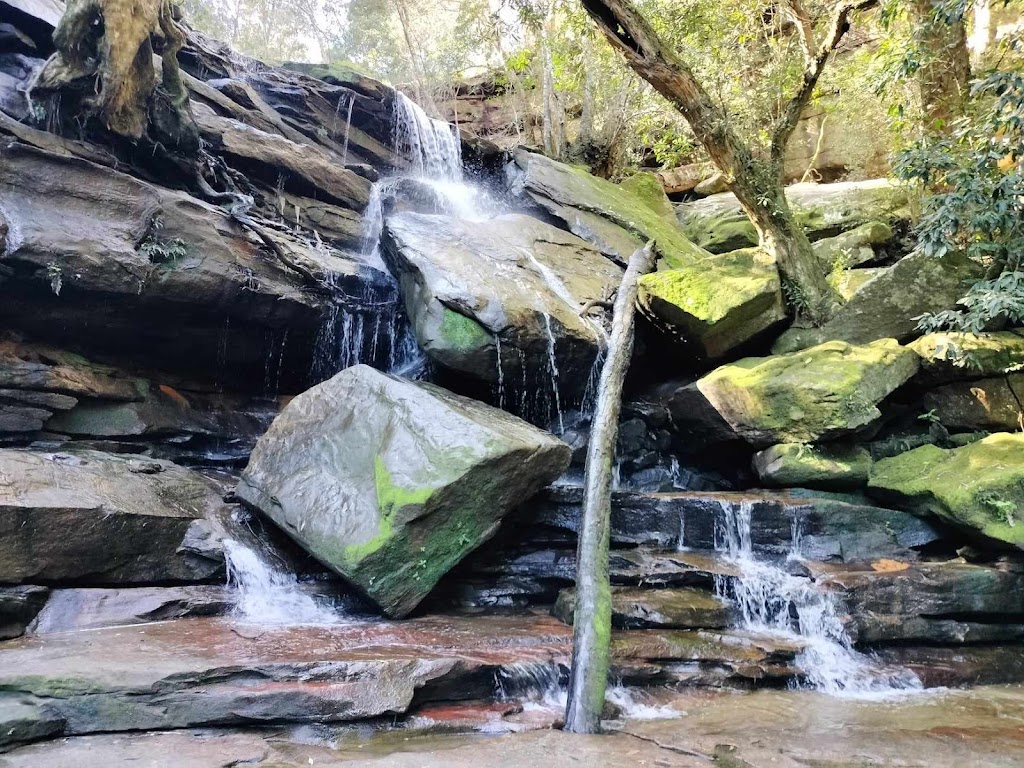 The Harmonic Healers | 16 Dances Rd, Cygnet TAS 7112, Australia | Phone: 0413 587 943