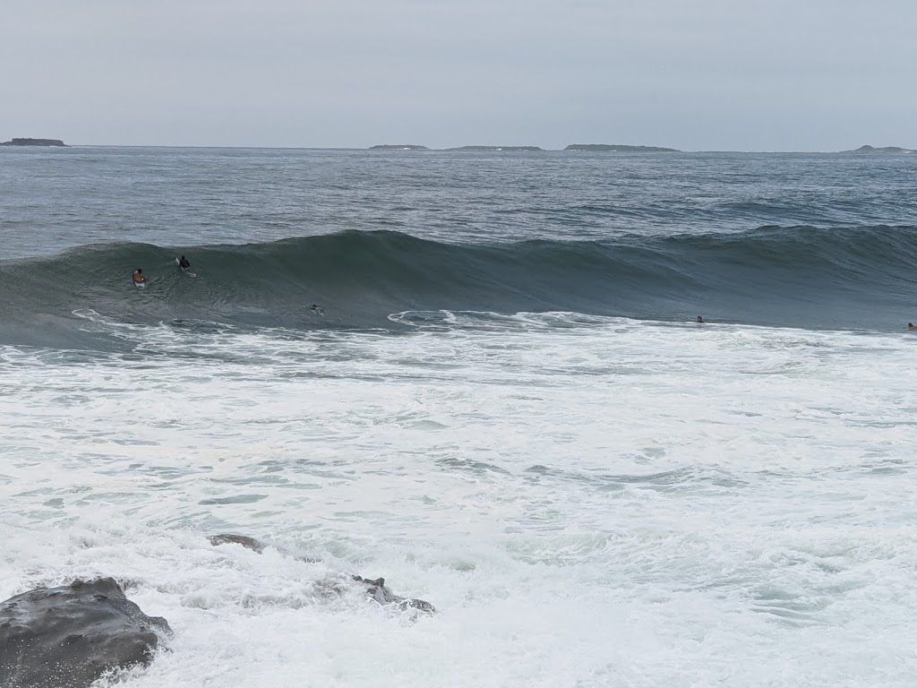 Wollongong City Surf Life Saving Club | Marine Drive, Wollongong NSW 2500, Australia | Phone: (02) 4229 1994