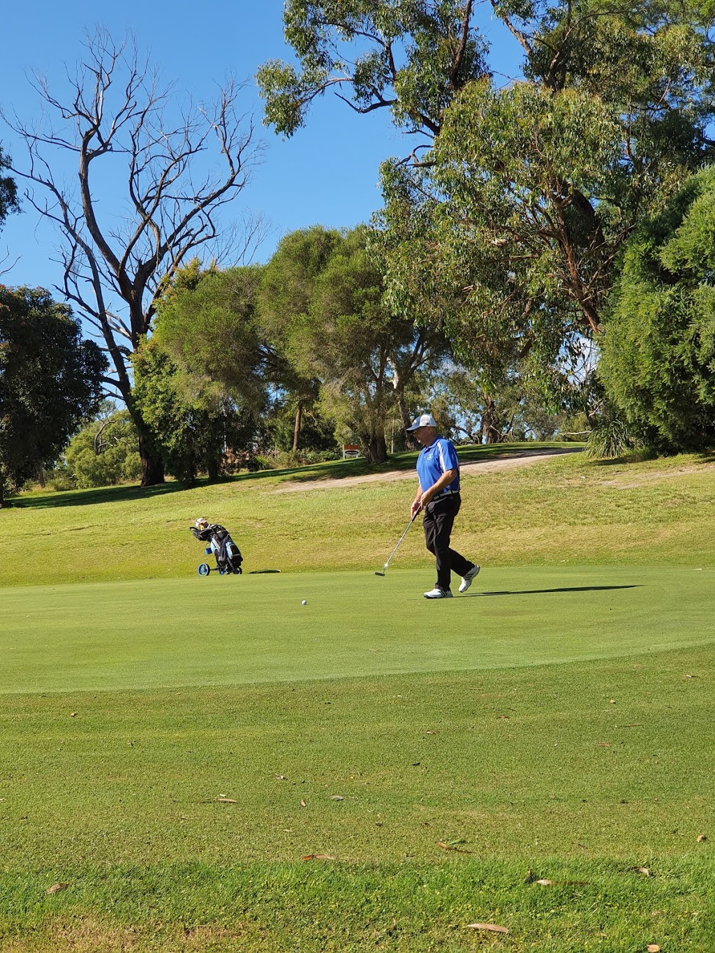 Trafalgar Golf Club |  | Gibson Rd, Trafalgar VIC 3824, Australia | 0356331110 OR +61 3 5633 1110