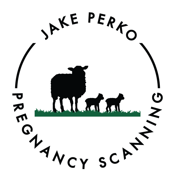 Jake Perko Pregnancy Scanning | Nyngan NSW 2825, Australia | Phone: 0438 248 008