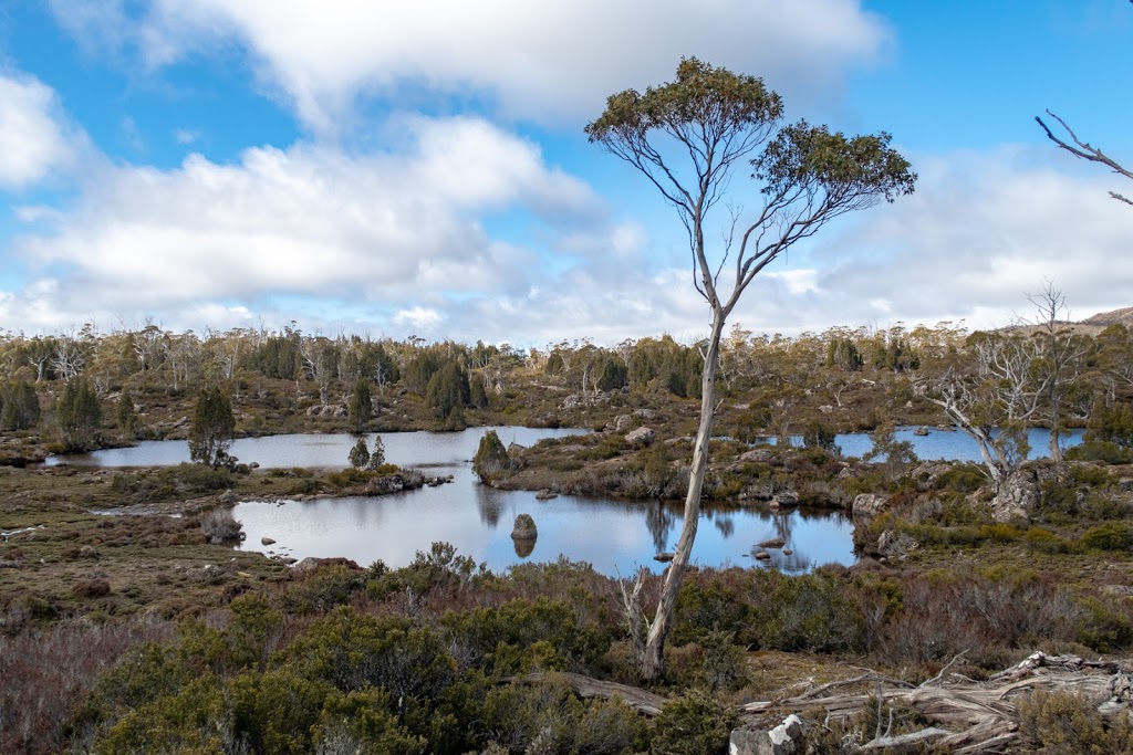 Walls Of Jerusalem car park | Mersey Forest Rd, Mersey Forest TAS 7304, Australia