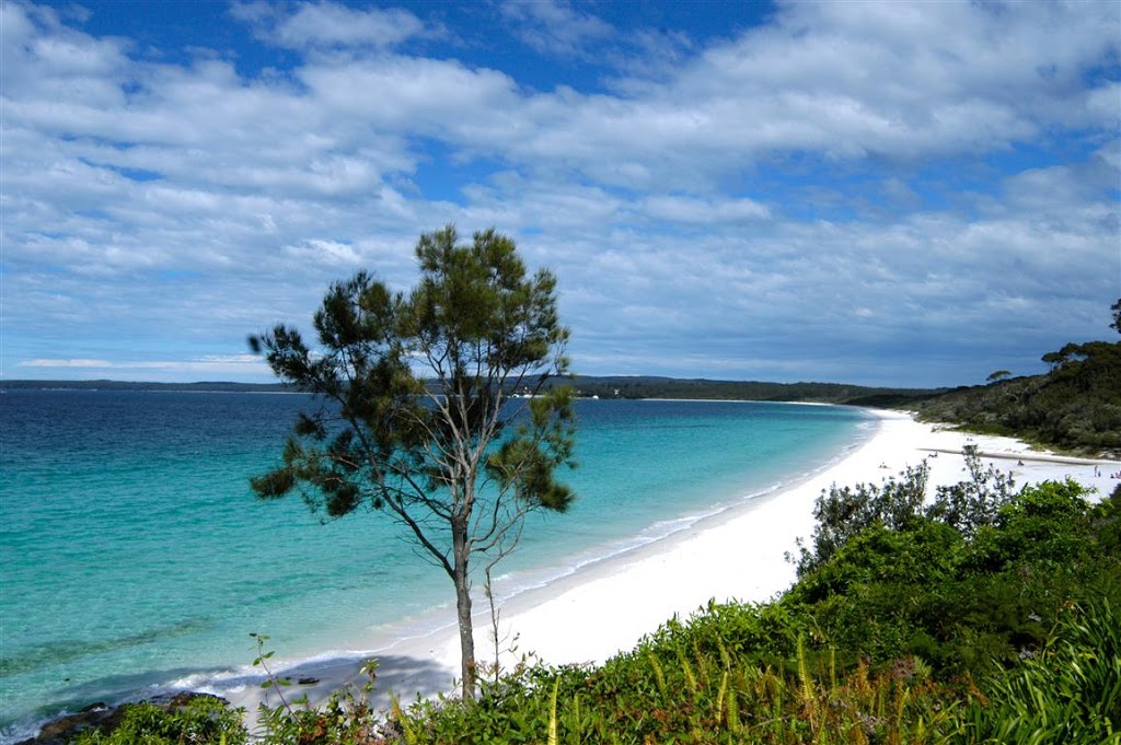 Hyams Beach Real Estate | 76 Cyrus St, Hyams Beach NSW 2540, Australia | Phone: (02) 4443 0242